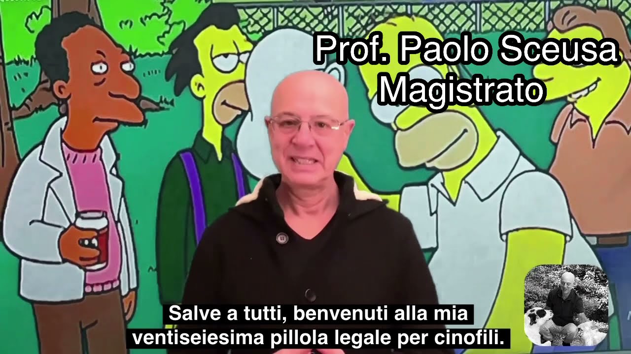 Pillole legali per cinofili: 26 - e se il cane morde un ospite?