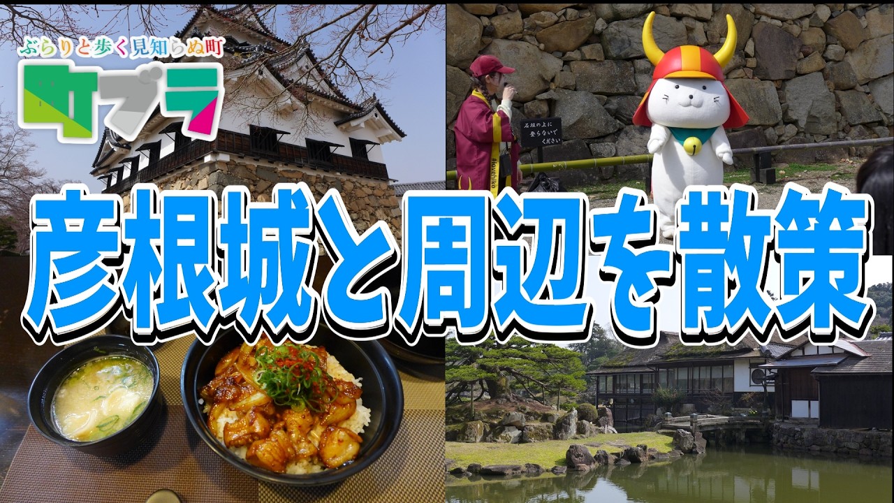 【彦根城とその周辺の観光スポットを紹介します】彦根城やひこにゃん・グルメも含め、彦根城周辺を散策しながら紹介しています