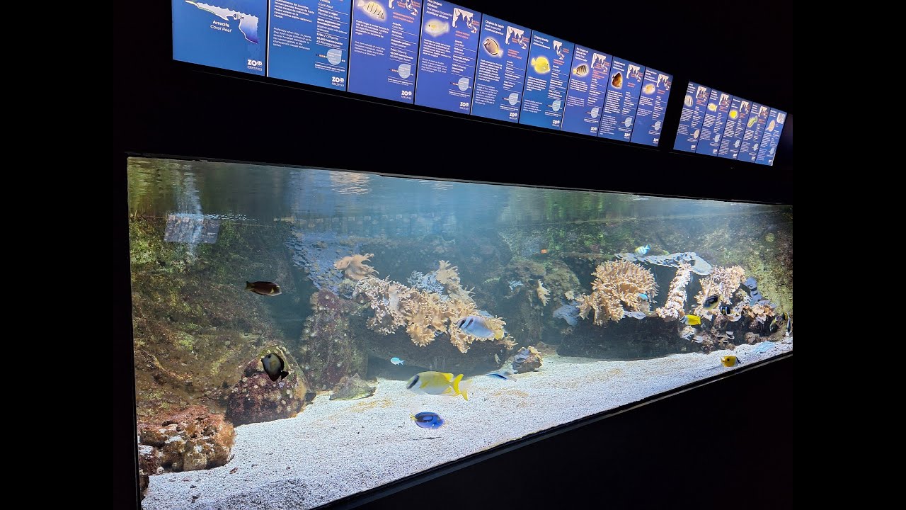 Zoo Aquarium de Madrid - reportaż /listopad 2025/