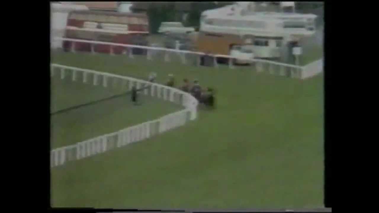 Le Moss- The 1980 Ascot Gold Cup