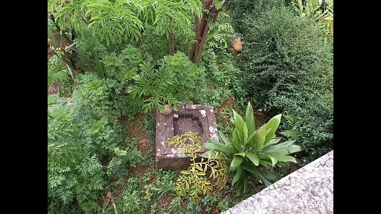 YONI TERSEMBUNYI SITUS KARANG PADANG :