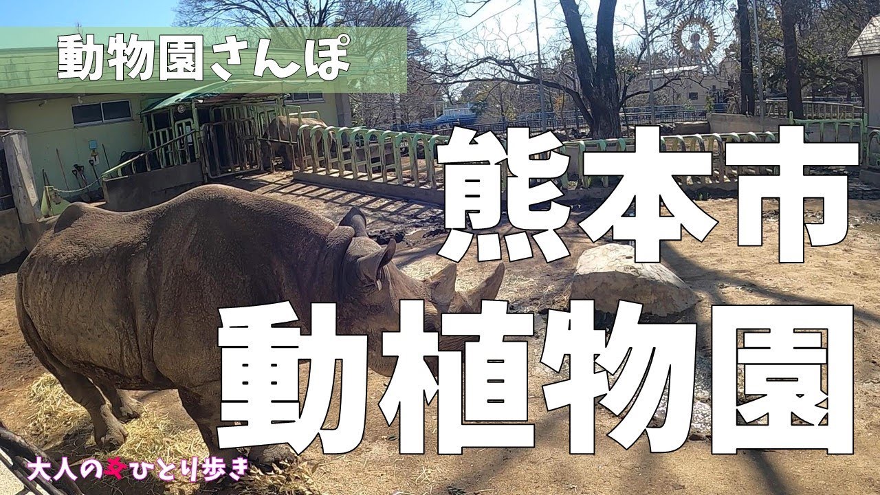 熊本：熊本市動植物園に行ってみました Kumamoto City Zoo and Botanical Garden