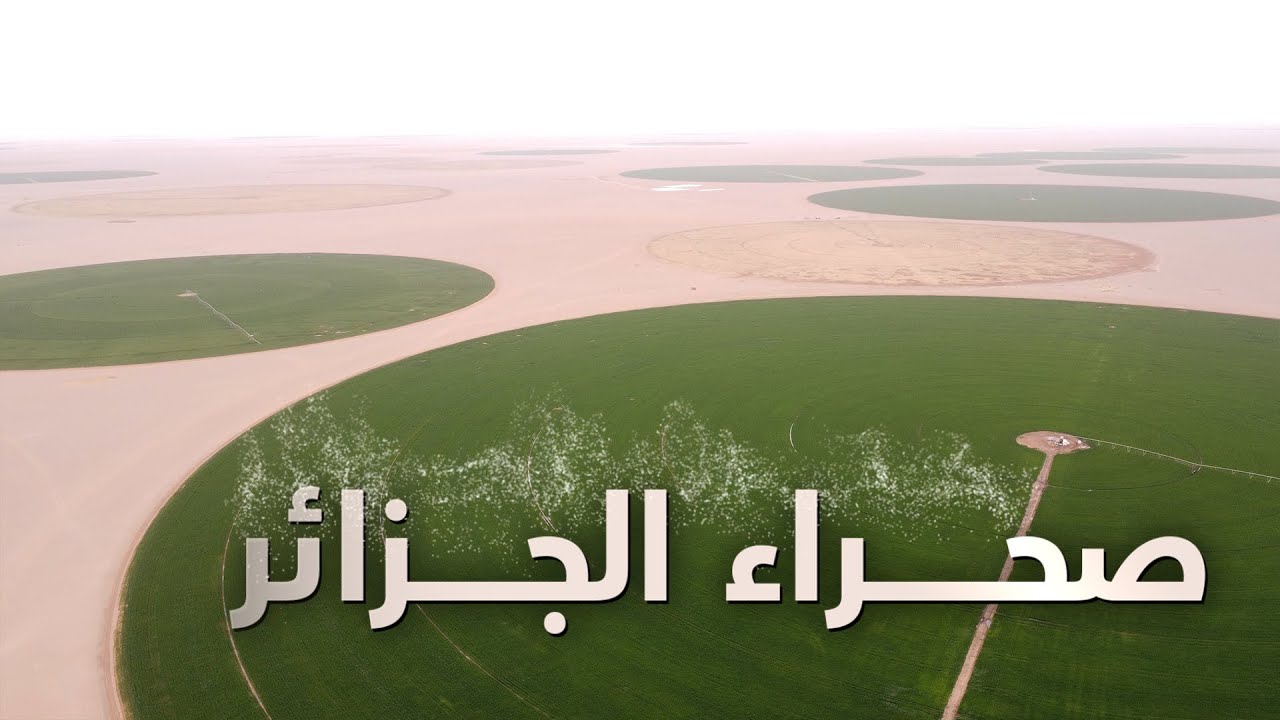 الصحراء الجزائرية .. بوابة استراتيجية لتحقيق الأمن الغذائي والمائي