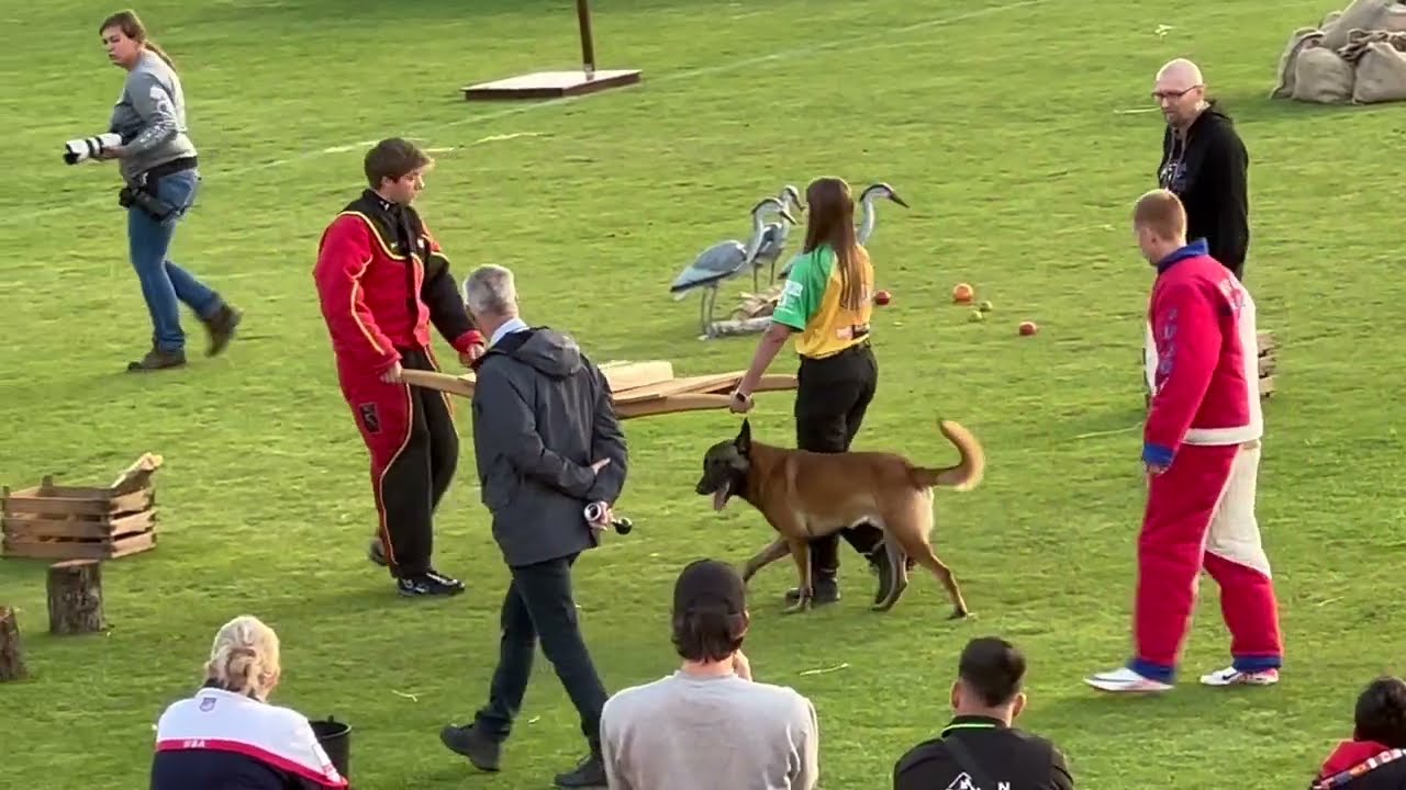 Team Brazil  2023 Mondioring World Championships MR1 Grand Prix