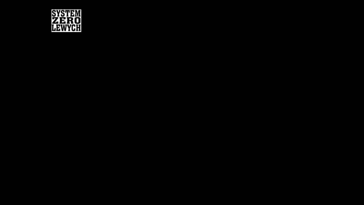 SZL - Raport 2