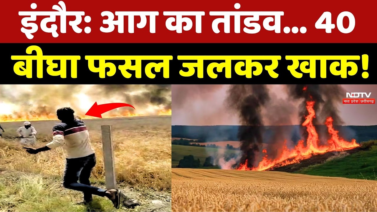 Indore में आग का तांडव... 40 बीघा फसल जलकर खाक! Crop Fire | Agriculture | Farmer Loss | Top News