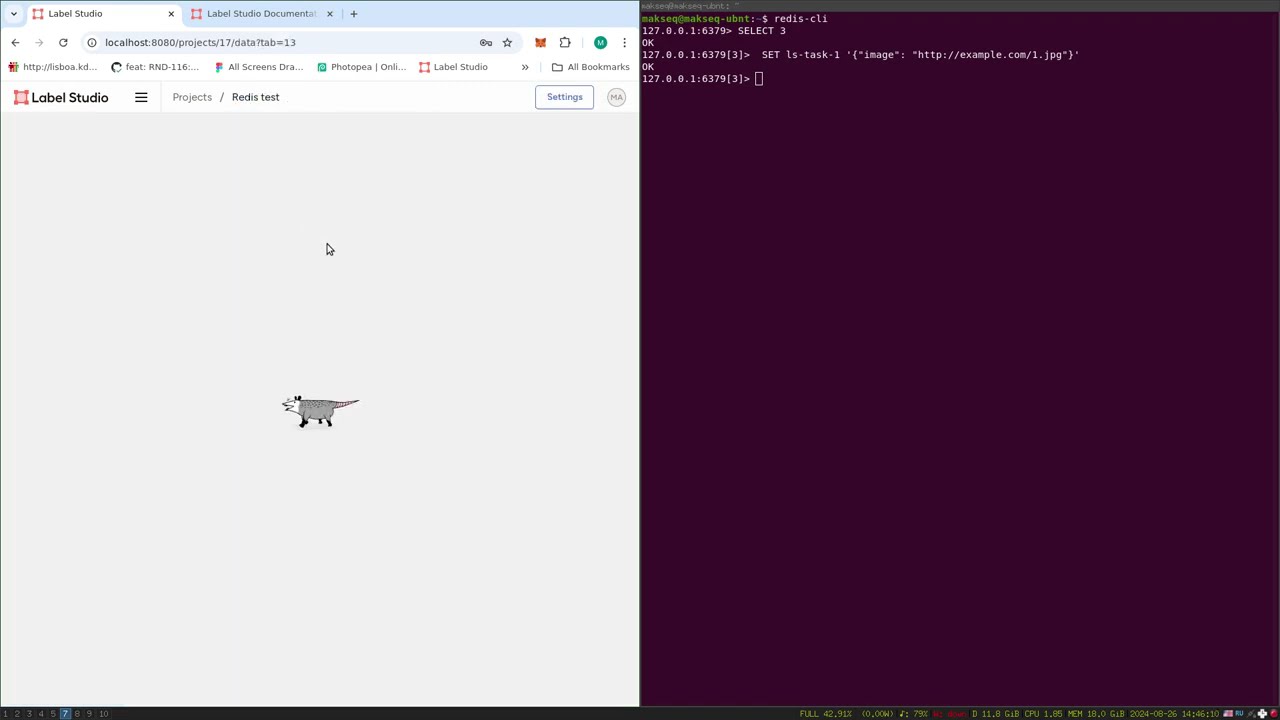 Label Studio - Connect Redis Source and Target Storages