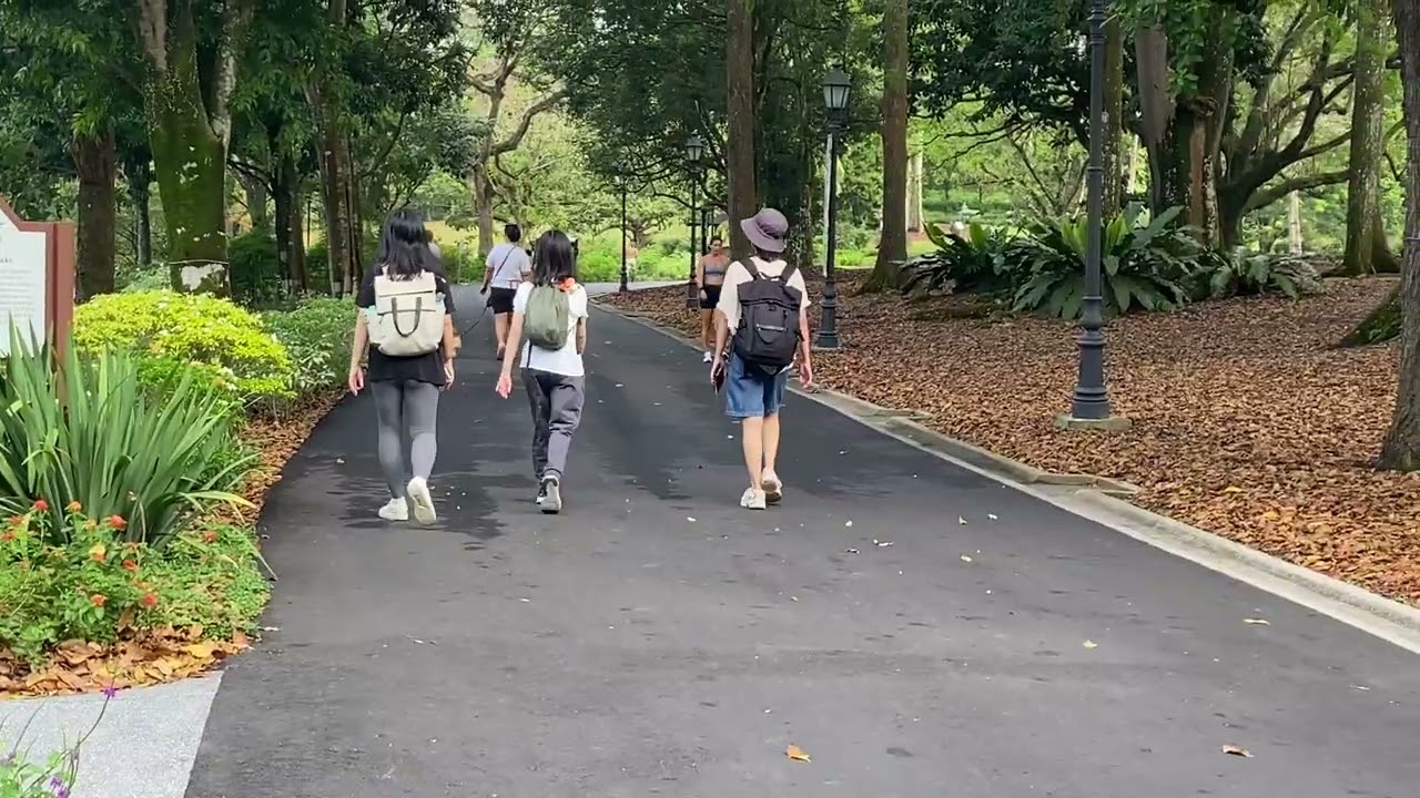 Walking tour of Singapore Botanic Gardens, .( 10  / 11 )