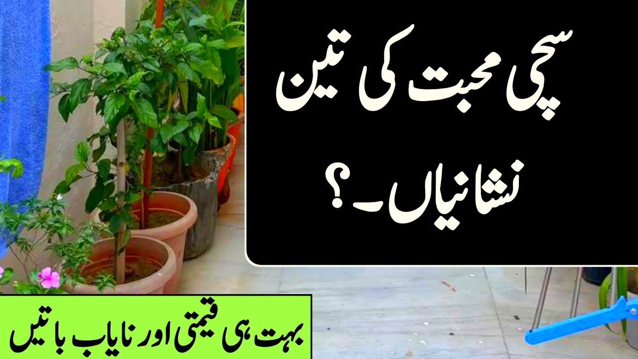 Sacchi mohabbat ke teen nishaniyan | best Urdu Qoutes Beautiful Qoutes