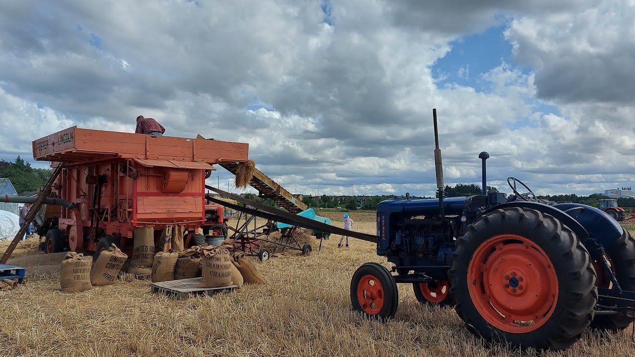 HOW TO THRESH WHEAT BEFORE THE COMBINE WAS INVENTED