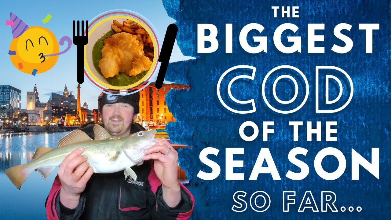 The BIGGEST MERSEY COD for us this Winter - Catching Codling in Liverpool - Sea Fishing UK