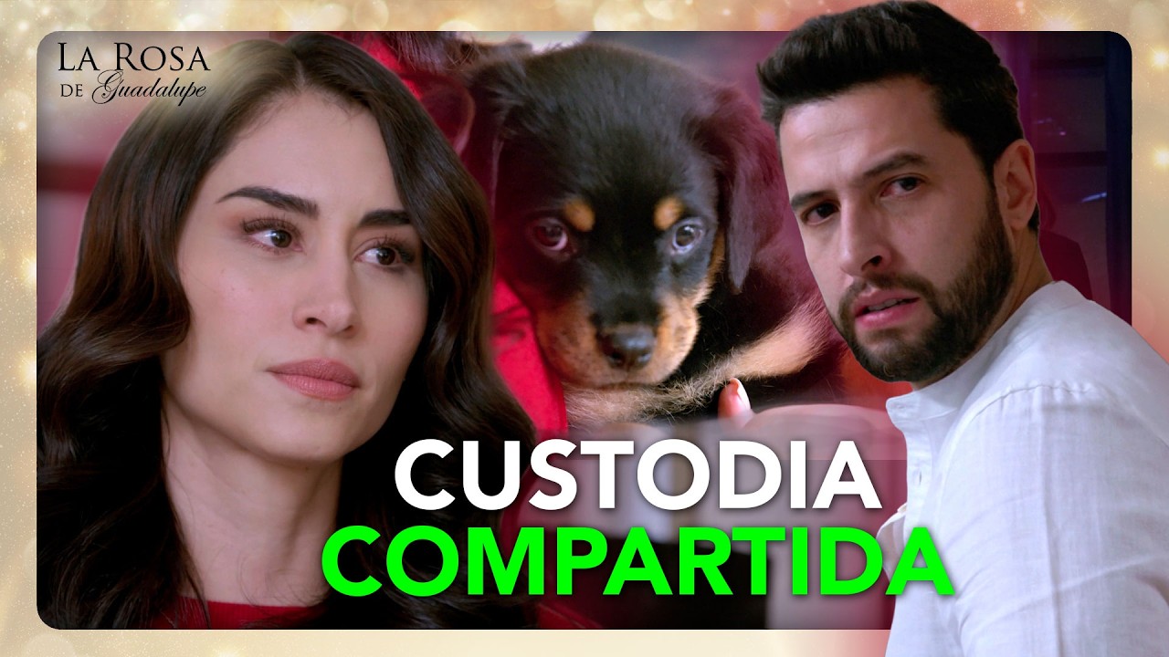 Alma y Diego comparten la CUSTODIA de su PERRHIJO tras el DIVORCIO | UN SUEÑO DE DOS 3/4 | LRDG