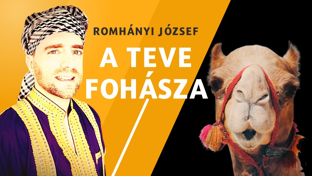 Romhányi József: A teve fohásza 🐪 (VERS mindenÁRON 19. rész)