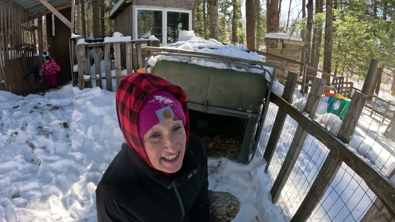 BARN prep for BABY GOATS!