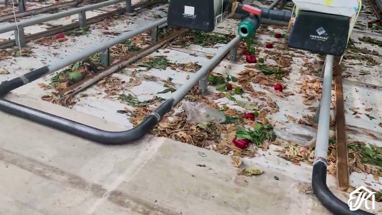 Heating project; replacing 101 km of 51 mm heating pipe at the Vijverberg pepper nursery