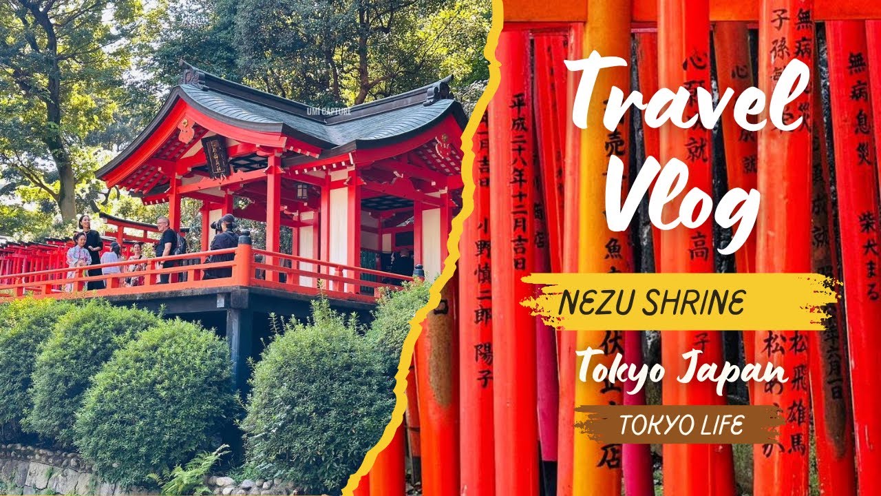 Exploring Tokyo’s Hidden Gem: Nezu Shrine & Shichi-Go-San Festival!🎌⛩️