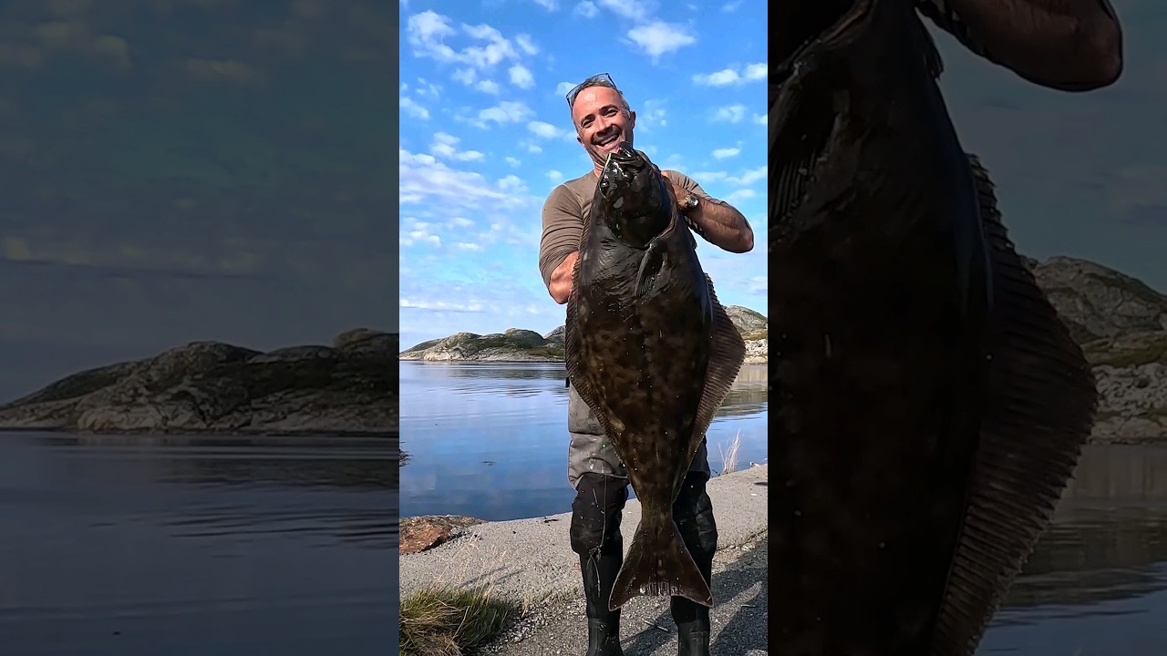 Halibut Fishing in Norway 🇳🇴#shorts #shortsvideo #fishing  #fishingshorts