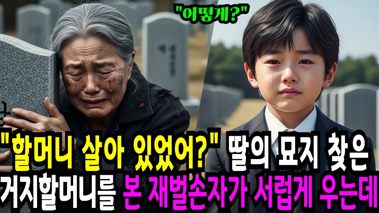 재벌 손자는 죽은 줄 알았던 할머니를 보 눈물을 흘립니다. 이제 할머니와 손자의 반격이 시작됩니다. 감동사연|노후사연|오디오북|라디오사연|쪽빛사연