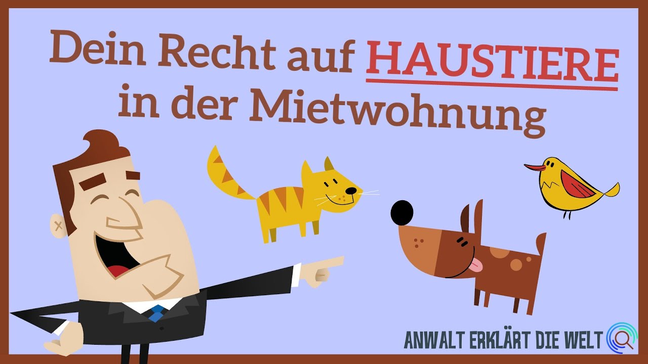 Kann dein Vermieter Haustiere in der Wohnung verbieten? | Anwalt erklärt die Welt