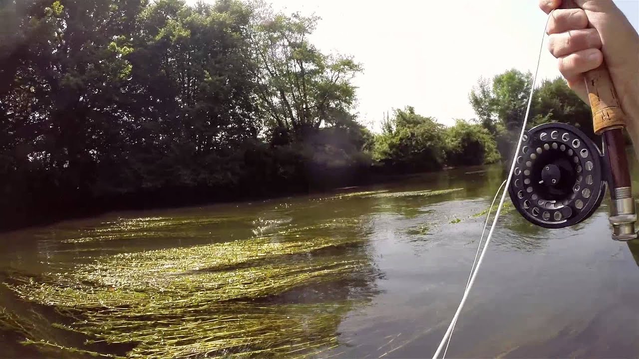 Pêche du gros chevesne à la mouche 2014 #2