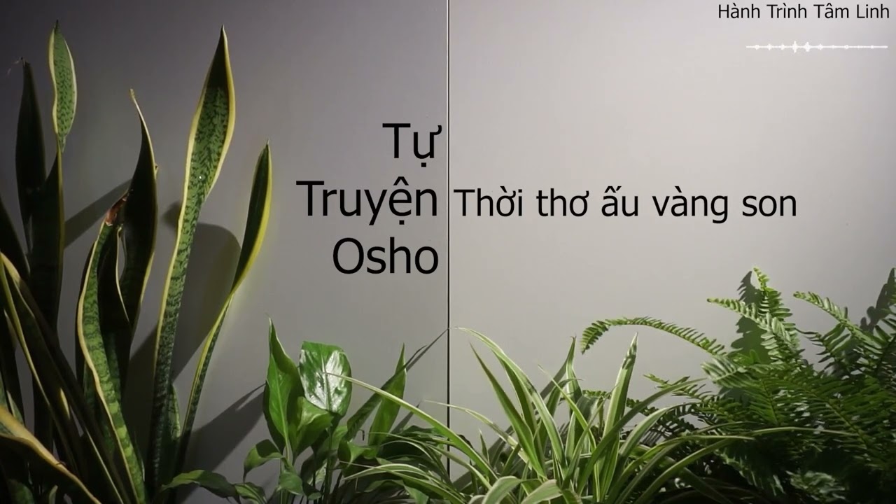 Tự truyện PART  1