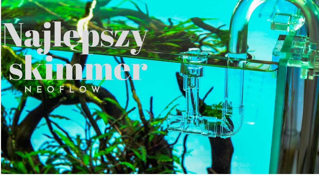 NAJLEPSZY SPOS&Oacute;B NA BŁONĘ W AKWARIUM - NEO FLOW AQUARIO