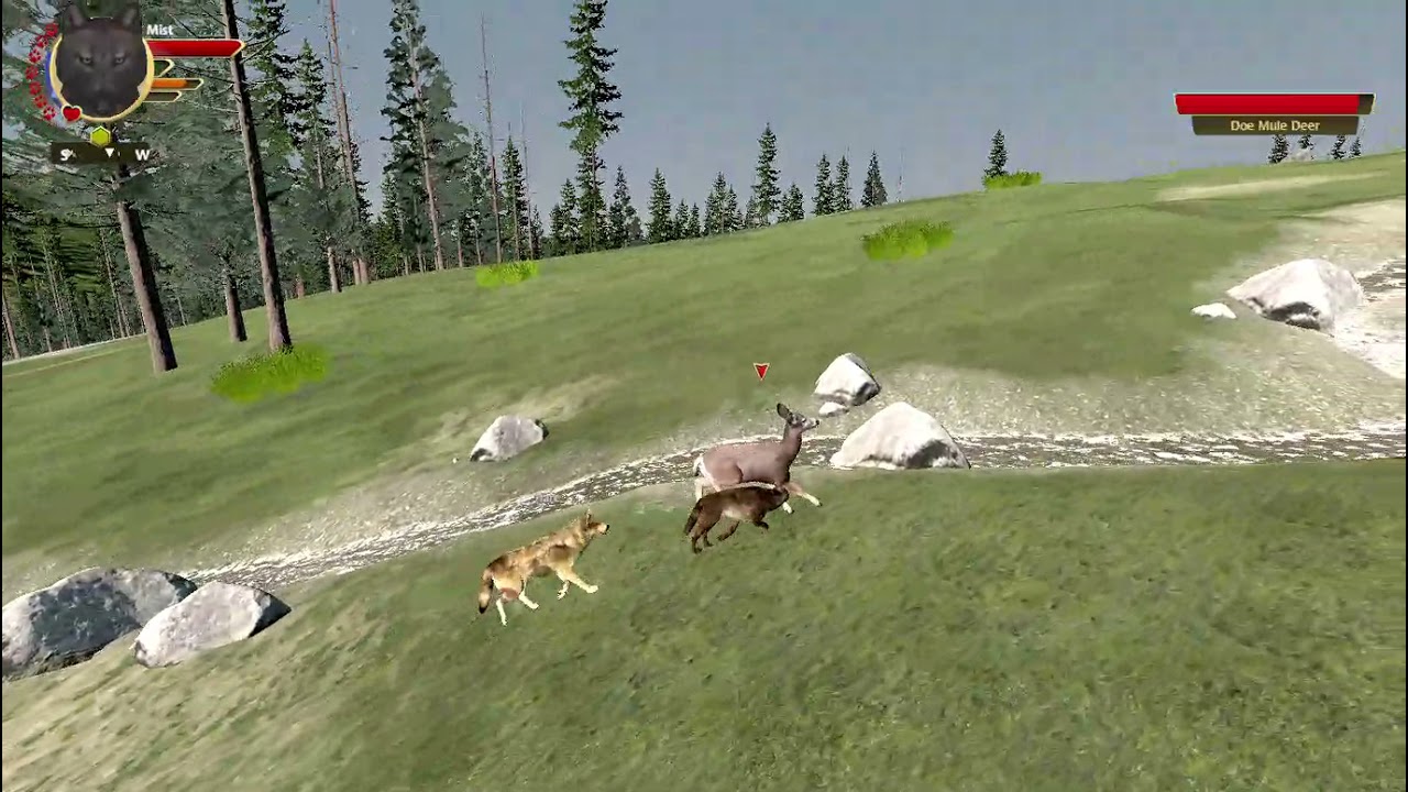 Finally a Day of Peace and Quiet! Wolf Quest 3 Triple Eclipse: The Cloud of In In Between Ep: 19🌗