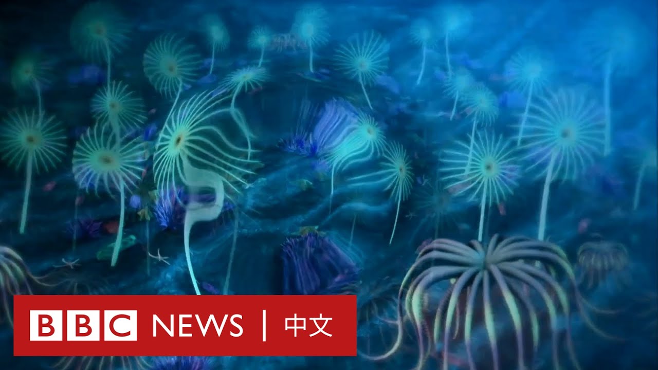 1.67億年前的生物化石，原來長這樣！－ BBC News 中文