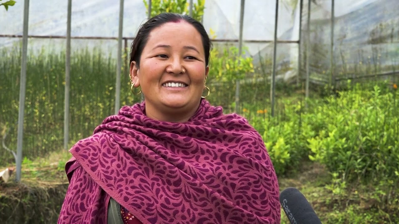 लाखौ कमाउदै नर्सरी गाउँले चिनिएको मेग्रेकी रमिला मोक्तान