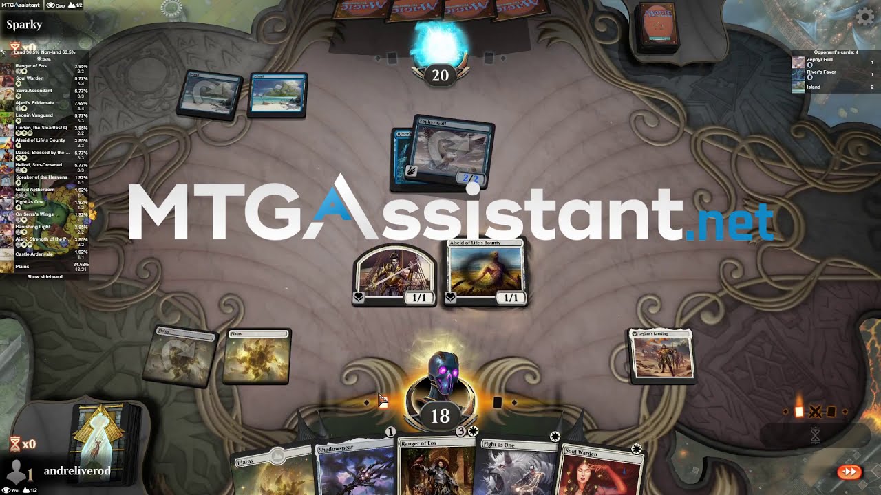 MTG Arena Deck Tracker