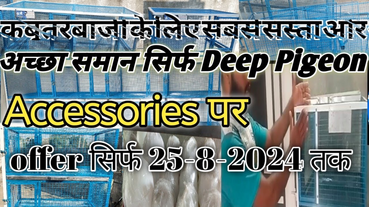 कबूतरबाजी के लिए सबसे सस्ता और अच्छा सामान Deep Pigeon Accessories पर। offer सिर्फ 25-8-2024 तक ।