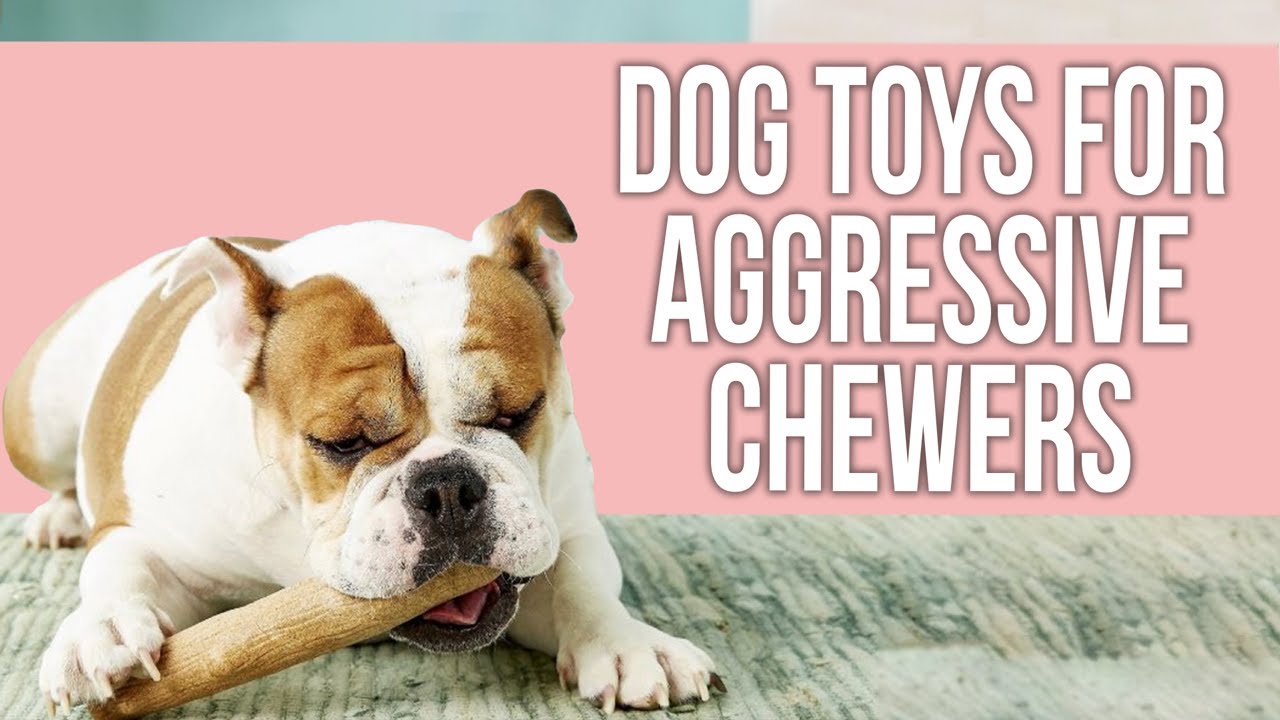 5 Best Safe Dog Toys for Aggressive Chewers