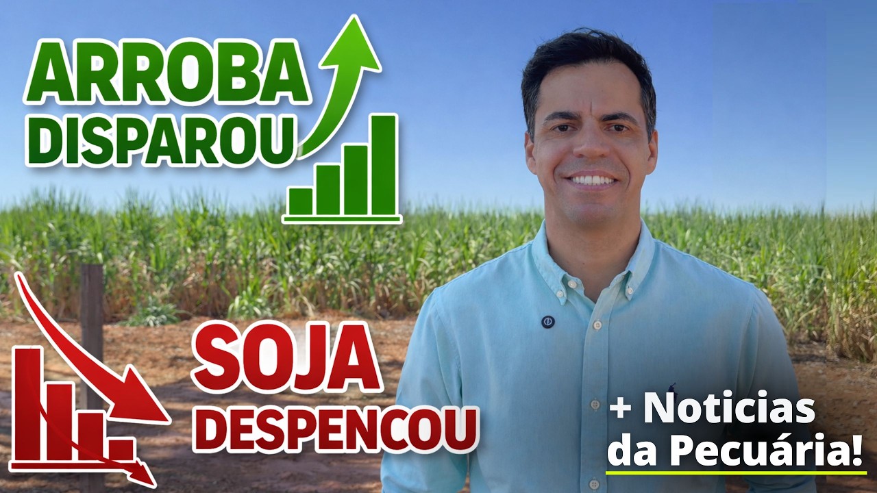 SUPLEMENTAÇÃO CERTA PARA BEZERROS APÓS A DESMAMA