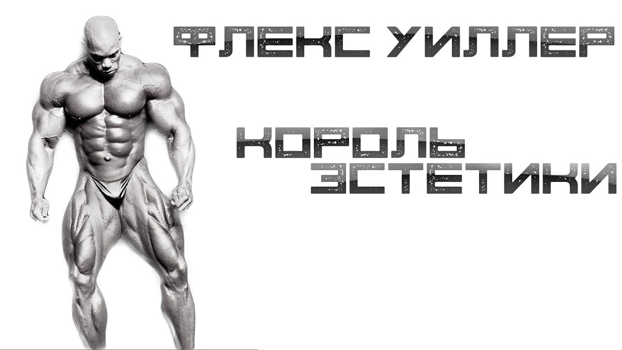 Флекс Уиллер - король эстетики! МОТИВАЦИЯ!👑💪✊