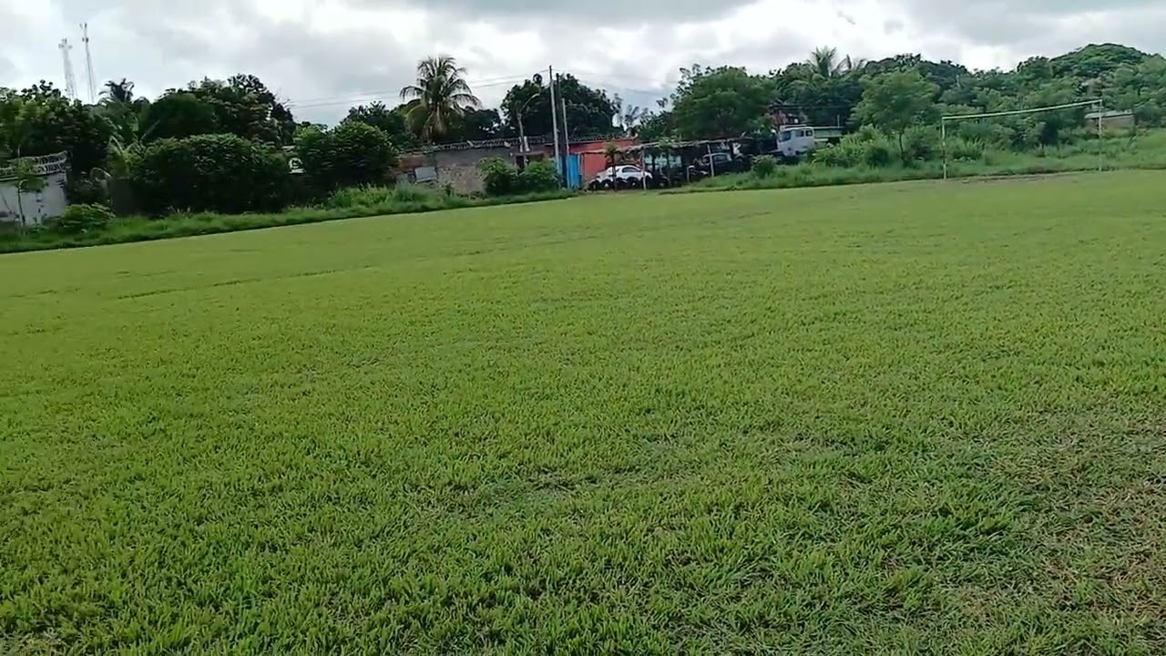 Mantenimieto de La Cancha