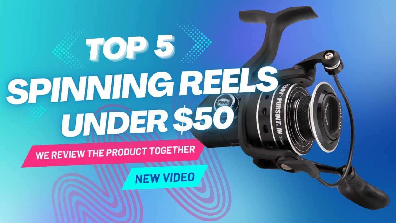 Top 5 Best Spinning Reels Under $50 | Affordable Fishing Reels for Beginners