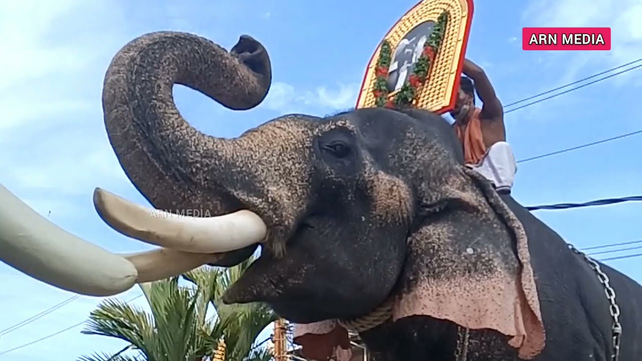 Guruvayoor Kesavan Elephant Anusmaranam 2021 Ekadasi