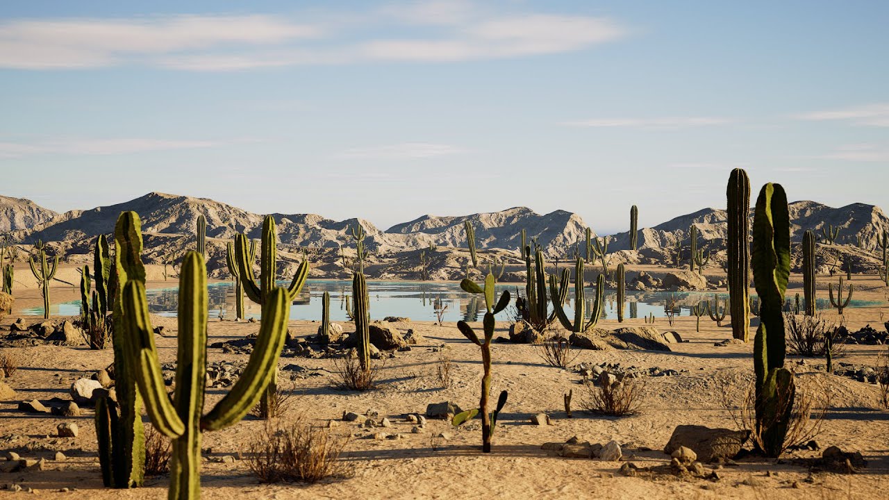 8 Hours Amazing Desert Oasis with Natural Sounds / Relaxing Screensaver / Relaxing Ambience ASMR