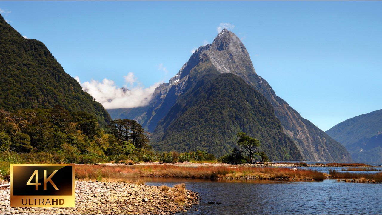 New Zealand 4k | Discover Nature Lover’s Paradise