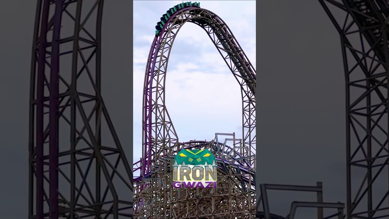 Top 5 Craziest Rides at Busch Gardens Tampa