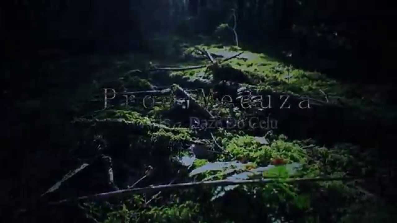 01. Aris - Dąże Do Celu feat. [Rajber]