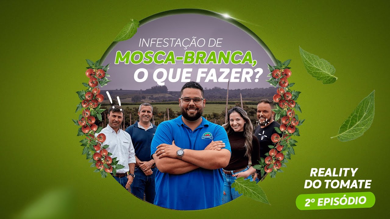 Reality do Tomate: infestação de mosca-branca, o que fazer? | Episódio 2