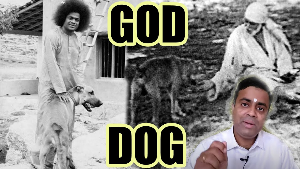 Sathya Sai and Shirdi Sai Are Same | Blindness Curing Miracle | God and Dog Oneness