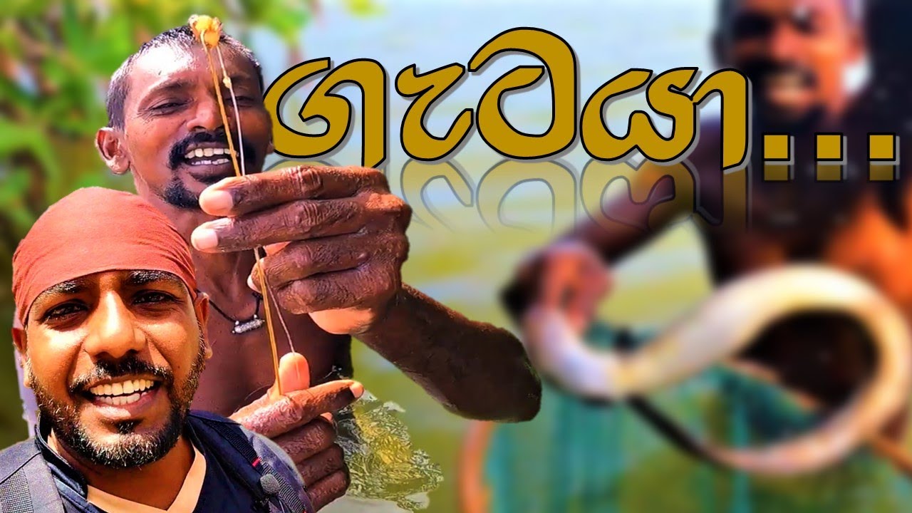 ගැටයා | ඉරට්ටෙන් අල්ලන ආදො | @wishwatiyubaya  👣😲🎣