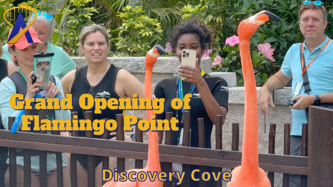 Opening of Flamingo Point at Discovery Cove