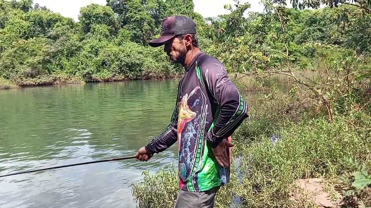 Passeio e pescaria no rio pau furado peixe no bambu #pescaria