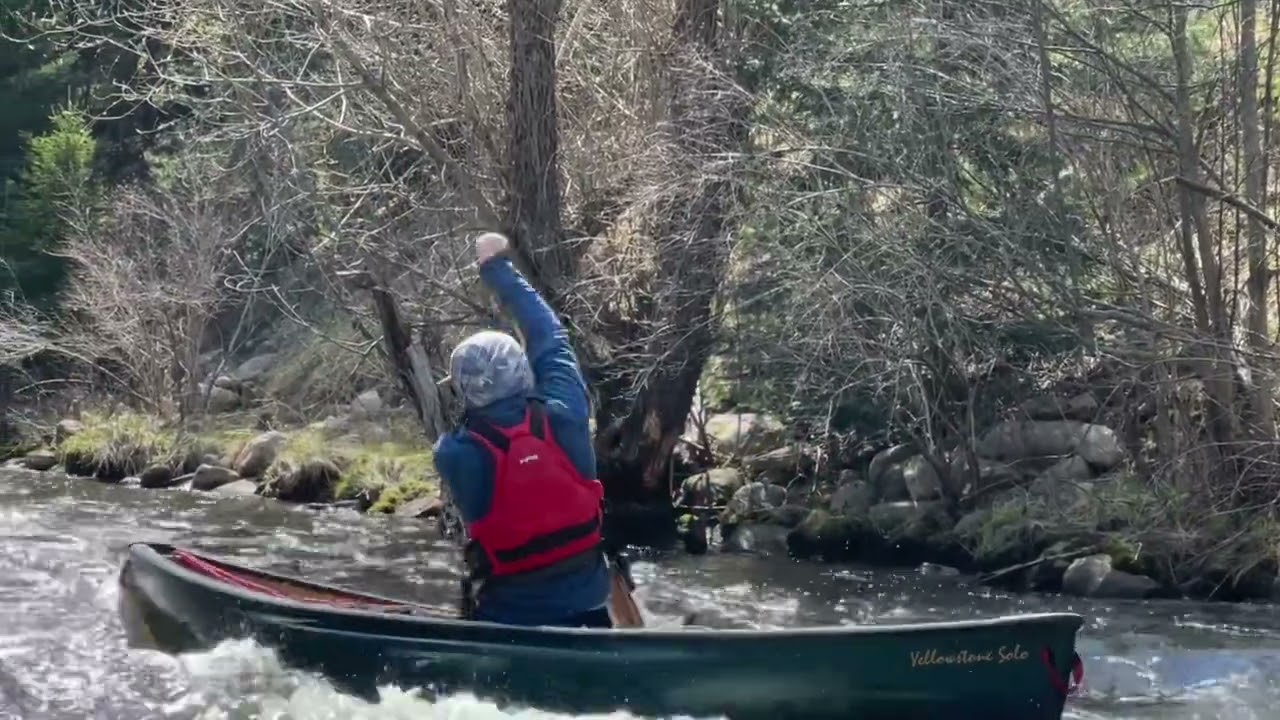 Sturgeon River Canoe Trip, Michigan’s Lower Peninsula