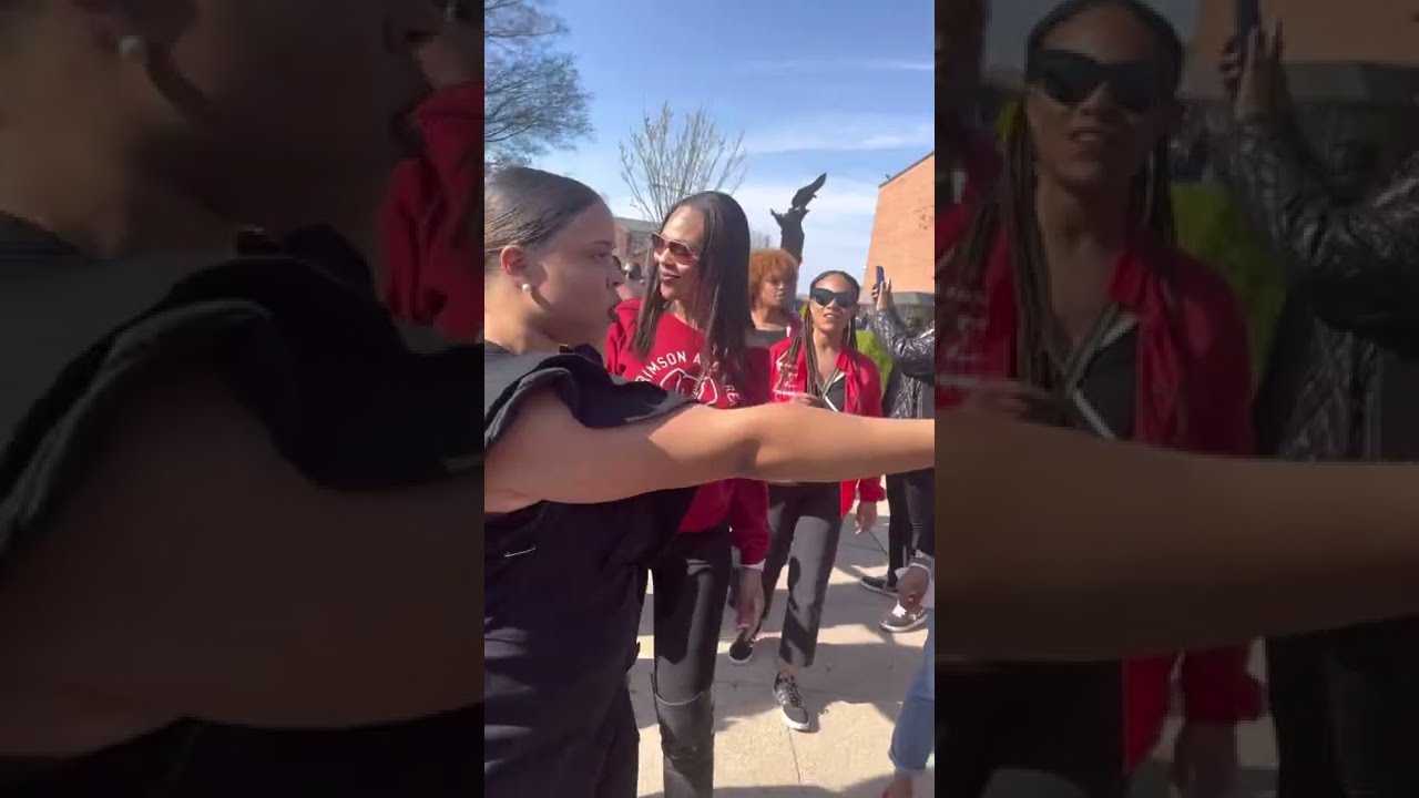 Welcome to Delta Sigma Theta Sorority, Inc.