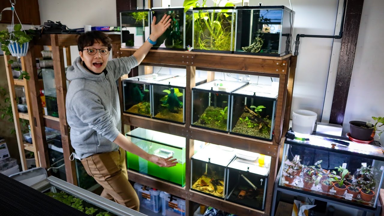 My *NANO* Aquarium Rack Tour!