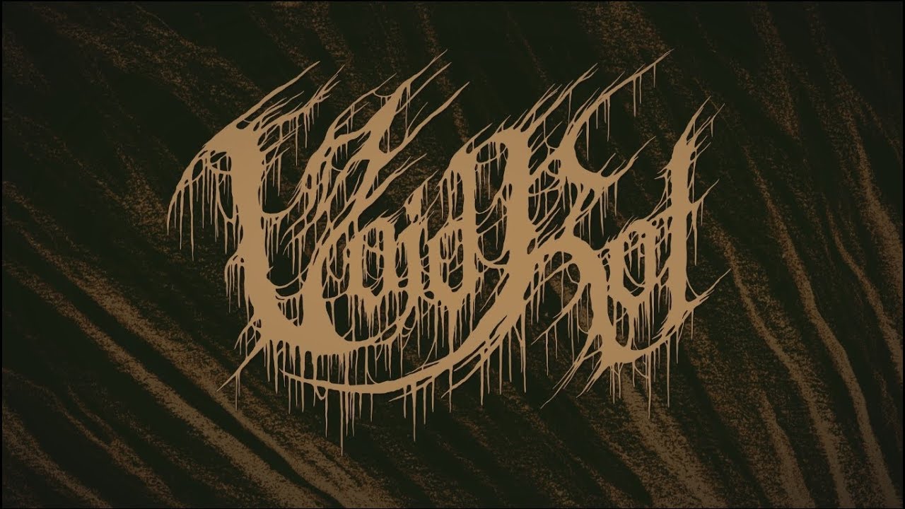 VOID ROT - CONSUMED BY OBLIVION (OFFICIAL TRACK PREMIERE 2018) [EVERLASTING SPEW RECORDS]